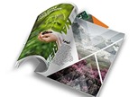 Letterheads