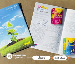 نمونه کاتالوگ تبلیغاتی