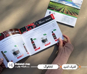 نمونه کاتالوگ تبلیغاتی