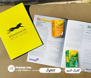 نمونه طرح کاتالوگ