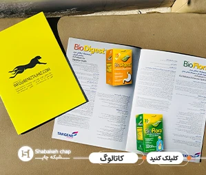بهترین مرکز چاپ کاتالوگ تهران