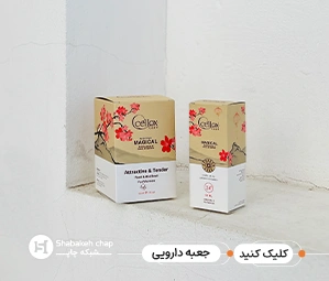 چاپ جعبه دسته دار